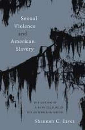 Sexual Violence and American Slavery de Shannon Eaves