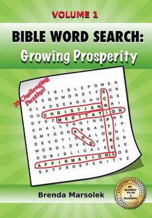 Bible Word Search de Brenda Marsolek