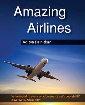 Amazing Airlines de Aditya Palnitkar