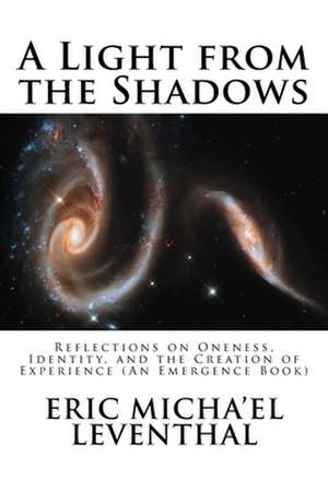 A Light from the Shadows de Eric Micha'el Leventhal