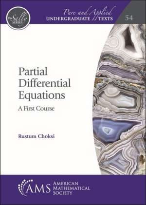 Partial Differential Equations: A First Course de Rustum Choksi