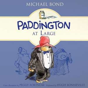 Paddington at Large de Michael Bond