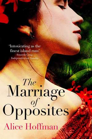 The Marriage of Opposites de Alice Hoffman