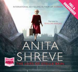 The Lives of Stella Bain de Anita Shreeve