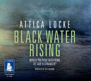 Locke, A: Black Water Rising de Attica Locke