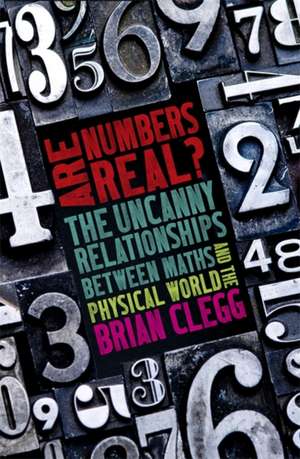 Clegg, B: Are Numbers Real? de Brian Clegg