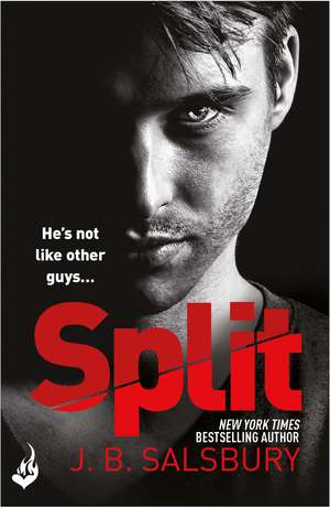 Split: A powerful, addictive love story with a twist... de J.B. Salsbury