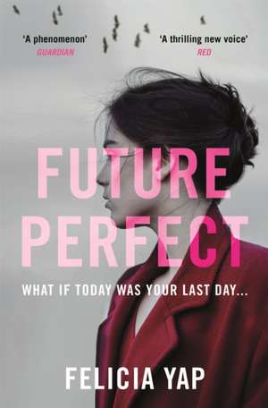 Future Perfect : The Most Exciting High-Concept Novel of the Year de Felicia Yap