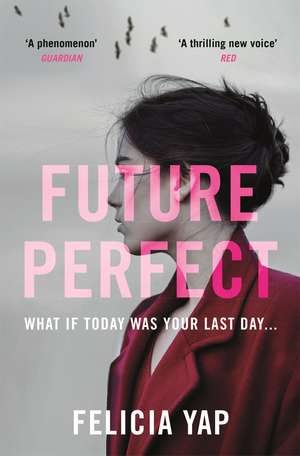Future Perfect: The Most Exciting High-Concept Novel of the Year de Felicia Yap