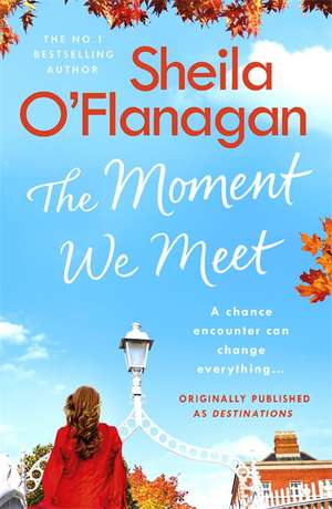 The Moment We Meet de Sheila O'Flanagan