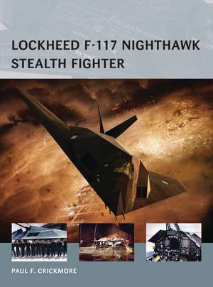 Lockheed F-117 Nighthawk Stealth Fighter de Paul F. Crickmore