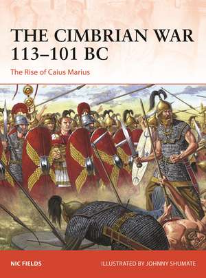 The Cimbrian War 113–101 BC: The Rise of Caius Marius de Nic Fields