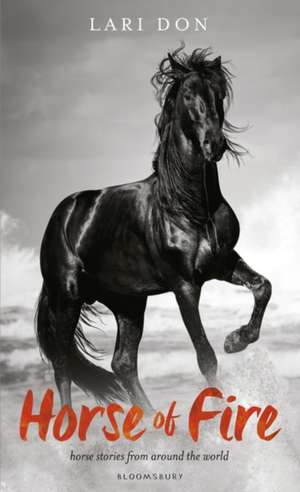 Horse of Fire: and other stories from around the world de Lari Don