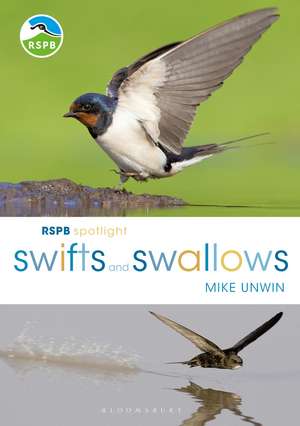 RSPB Spotlight Swifts and Swallows de Mike Unwin