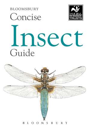 Concise Insect Guide de Bloomsbury