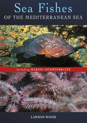 Sea Fishes Of The Mediterranean Including Marine Invertebrates de Lawson Wood