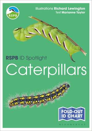 RSPB ID Spotlight - Caterpillars de Marianne Taylor