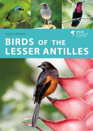 Birds of the Lesser Antilles de Ryan Chenery