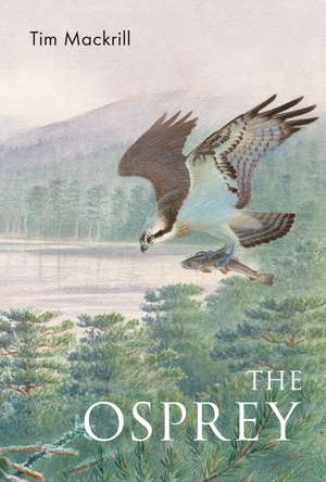 The Osprey de Tim Mackrill