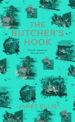 The Butcher's Hook de Janet Ellis