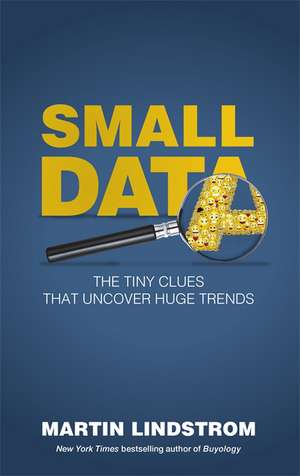 Small Data de Martin Lindstrom