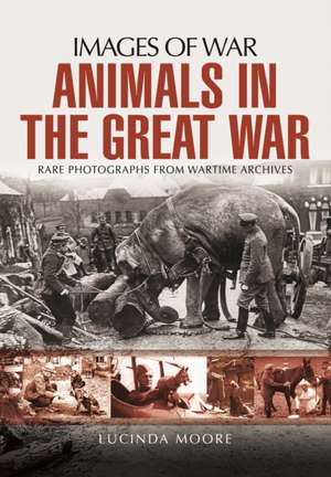 Animals in the Great War de Lucinda Moore