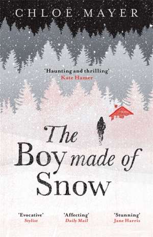 The Boy Made of Snow de Chloe Mayer