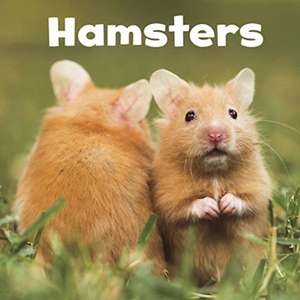 Hamsters de Lisa J. Amstutz