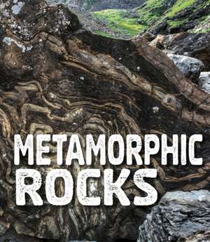 Metamorphic Rocks de Ava Sawyer