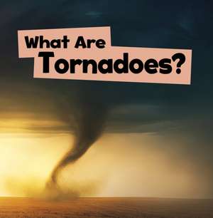 What Are Tornadoes? de Mari Schuh