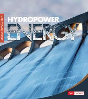 Hydropower de Mary Boone