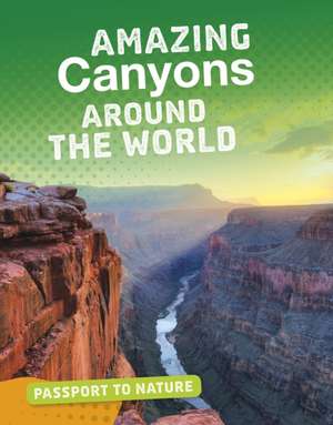 Amazing Canyons Around the World de Gail Terp