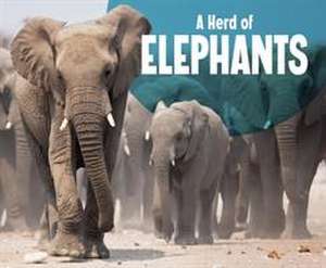 A Herd of Elephants de Amy Kortuem