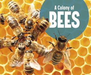 A Colony of Bees de Lucia Raatma