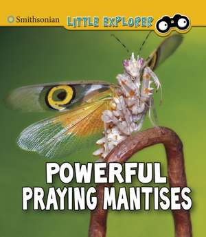 Higgins, M: Powerful Praying Mantises de Melissa Higgins