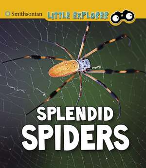 Splendid Spiders de Melissa Higgins