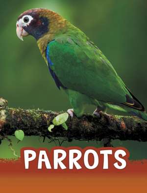 Parrots de Mari Schuh