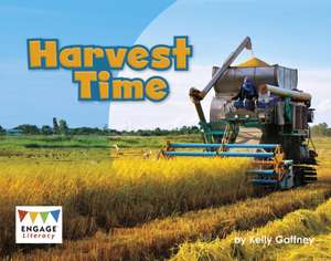 Harvest Time de Kelly Gaffney