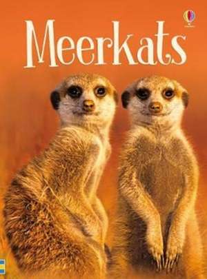 Meerkats de James Maclaine