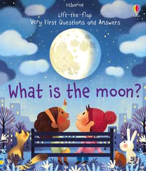 Lift the Flap What is the Moon? de Katie Daynes