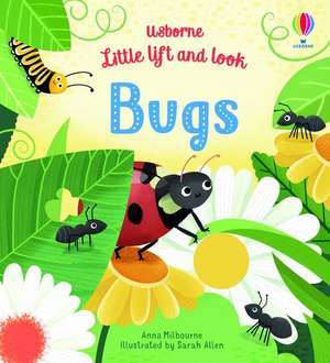 Little Lift and Look Bugs de Anna Milbourne