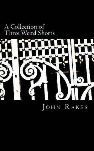 A Collections of Shorts de John M. Rakes