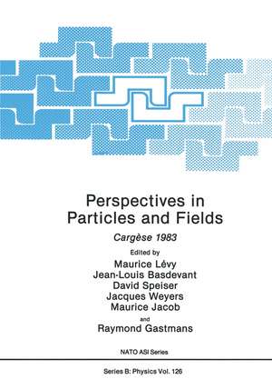 Perspectives in Particles and Fields: Cargèse 1983 de Maurice Lévy