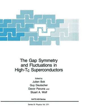 The Gap Symmetry and Fluctuations in High-Tc Superconductors de Julien Bok