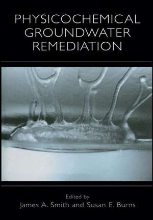 Physicochemical Groundwater Remediation de James A. Smith