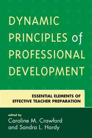 DYNAMIC PRINCIPLES OF PROFESSIPB