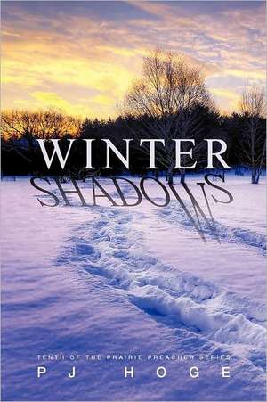 Winter Shadows de Pj Hoge