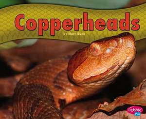 Copperheads de Mary R. Dunn