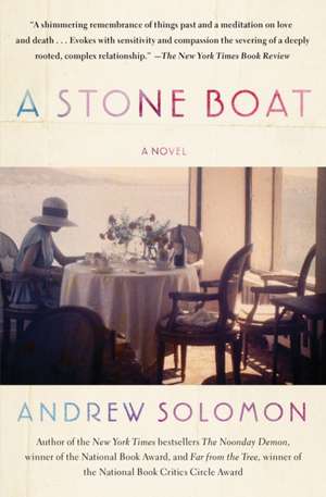 A Stone Boat de Andrew Solomon