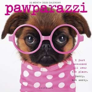 Pawparazzi 2018 - 16-Monatskalender de GRAPHIQUE